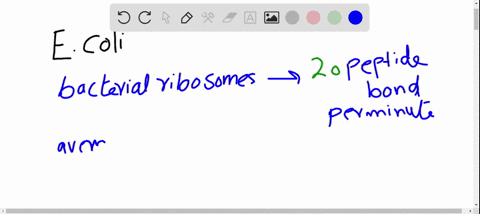 a-bacterial-ribosome-can-synthesize-about-20-peptide-bonds-per-minute-if-the-average-bacterial-prote