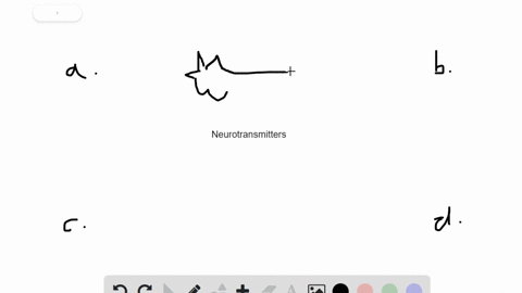 neurotransmitter-is-released-by-_____-at-a-chemical-synapse-a-axon-endings-b-dendrites-c-the-cell-bo