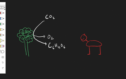write-an-article-using-what-you-know-about-the-relationship-between-photosynthesis-and-cellular-resp