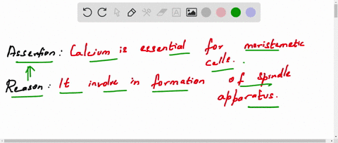 assertion-calcium-is-essential-for-meristmetic-cells-reason-it-involve-in-formation-of-spindle-appar