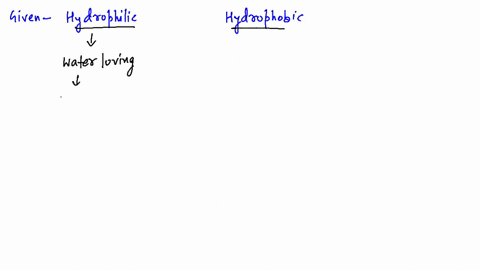 ⏩SOLVED:What types of molecules are hydrophobic? What types are… | Numerade