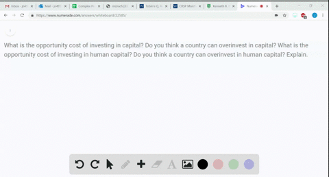 what-is-the-opportunity-cost-of-investing-in-capital-do-you-think-a-country-can-overinvest-in-capita