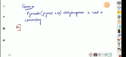 pyruvate-pyruvic-acid-dehydrogenase-is-used-in-converting-a-pyruvate-to-glucose-b-glucose-to-pyruvat