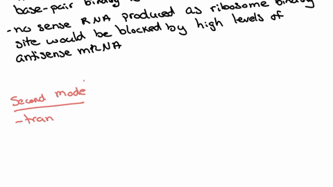 one-mechanism-by-which-antisense-rnas-act-as-negative-regulators-of-gene-expression-is-by-base-pairi