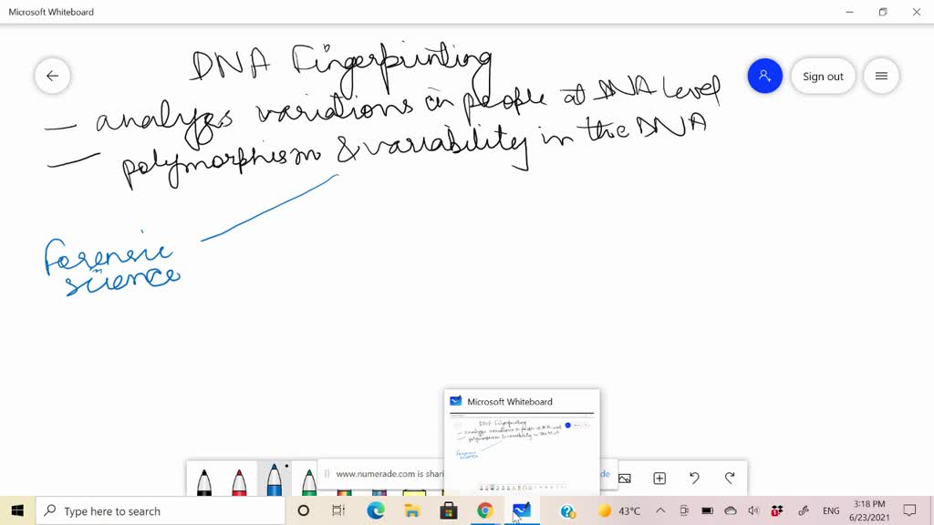 SOLVED What Is DNA Fingerprinting Mention Its Application 