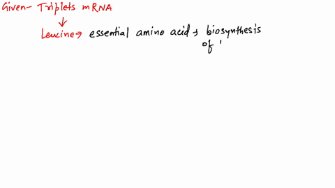 a-hypothetical-tripeptide-leu-leu-leu-could-be-synthesized-by-the-cell-what-three-different-base-tri