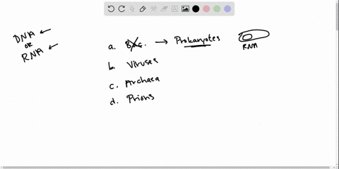 dna-or-rna-may-be-the-genetic-material-of-_____________-a-bacteria-b-a-virus-c-archaea-d-a-prion