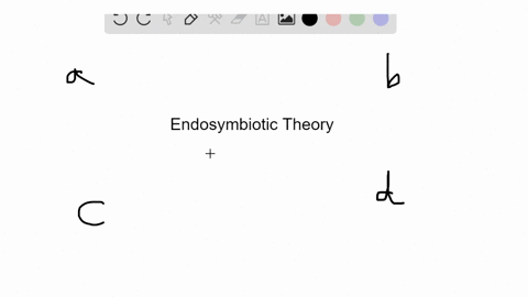 the-endosymbiotic-theory-explains-which-of-the-following-a-the-origins-of-the-first-prokaryotic-ce-2