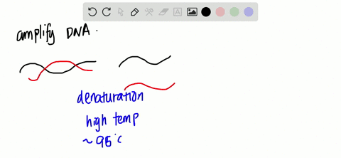 why-is-the-polymerase-chain-reaction-used-a-to-amplify-dna-b-to-cut-dna-c-to-ligate-dna-d-to-separat