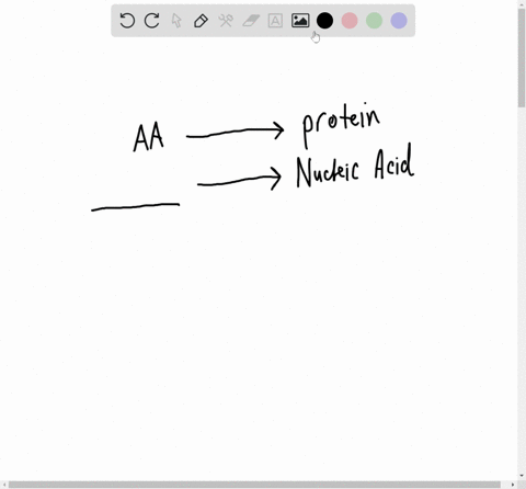 an-amino-acid-is-to-a-protein-as-a-__________-is-to-a-nucleic-acid-a-nucleotide-b-fatty-acid-c-monos