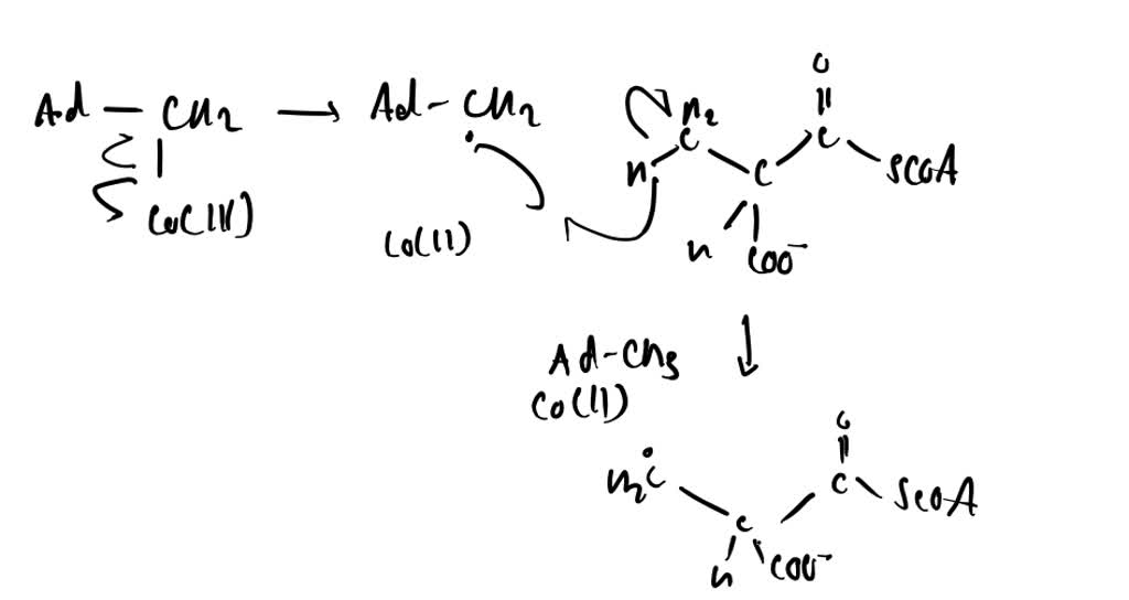 SOLVED:Propose a mechanism for the following reaction: