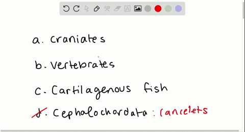hagfish-lampreys-sharks-and-tuna-are-all-chordates-that-can-also-be-classified-into-which-group-a-cr