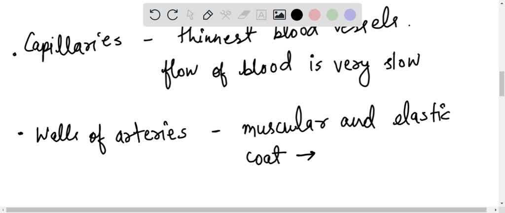 SOLVED:Which of these statements is false? a. Most of the total blood
