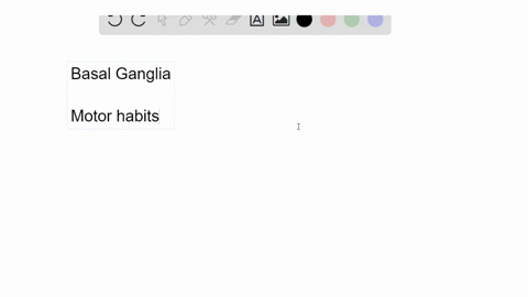 what-kind-of-learning-depends-most-heavily-on-the-basal-ganglia-5