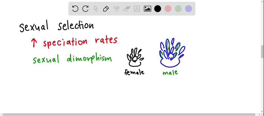 Solved:which Of The Following Is Often Associated With Higher Rates Of  Speciation? A. Sexual Dimorphism In Birds B. Diet Specialization In Insects  C. Poor Dispersal Ability D. Animal Pollination In Plants E. Solved:which Of The Following Is Often Associated With Higher Rates Of  Speciation? A. Sexual Dimorphism In Birds B. Diet Specialization In Insects  C. Poor Dispersal Ability D. Animal Pollination In Plants E.