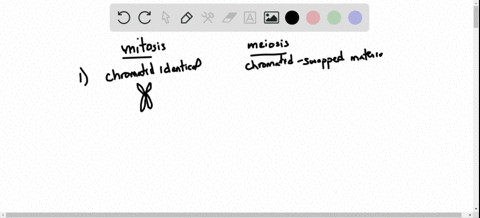 in-what-ways-does-the-second-division-of-meiosis-differ-from-mitosis-2
