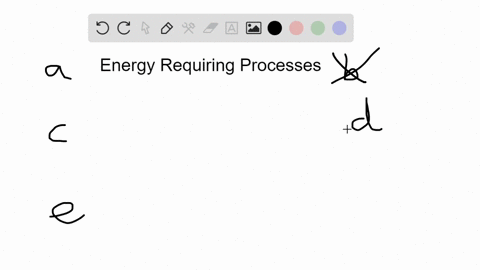 which-of-the-following-structures-does-not-require-an-immediate-source-of-energy-to-function-a-cen-3