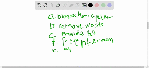 which-of-these-are-indirect-values-of-species-a-participation-in-biogeochemical-cycles-b-participati