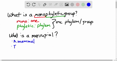 marsupials-and-which-of-the-following-groups-combine-to-make-a-monophyletic-group-a-birds-b-carnivor