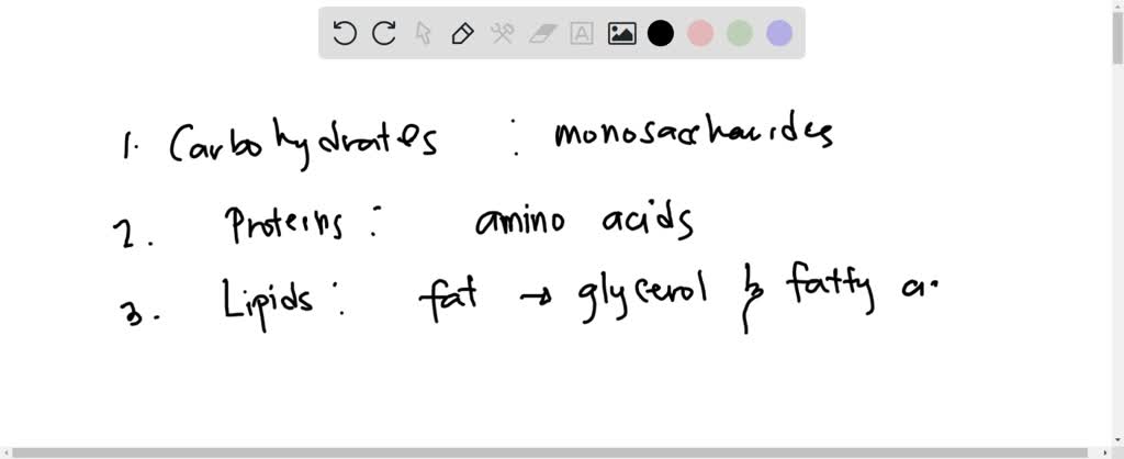 solved-name-the-four-main-elements-that-make-up-compounds-found-in