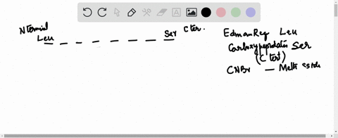 determine-the-primary-structure-of-an-octapeptide-from-the-following-data-acid-catalyzed-hydrolysi-2