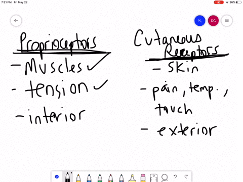 which-of-these-is-an-incorrect-difference-between-proprioceptors-and-cutaneous-receptors-text-propri