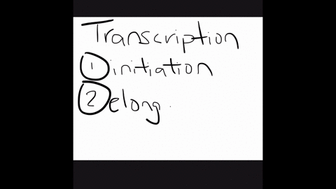 in-eukaryotic-cells-transcription-cannot-begin-until-a-the-two-dna-strands-have-completely-separat-3