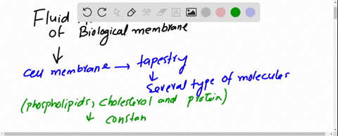figure-11-3-shows-the-currently-accepted-fluid-mosaic-model-of-biological-membrane-structure-this-mo