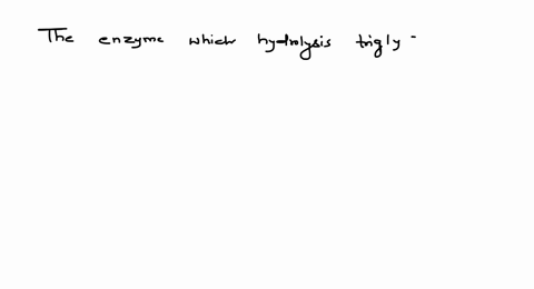 the-enzyme-which-hydrolysis-triglycerides-to-fatty-acids-and-glycerol-is-called-a-pepsin-b-zymase-c-