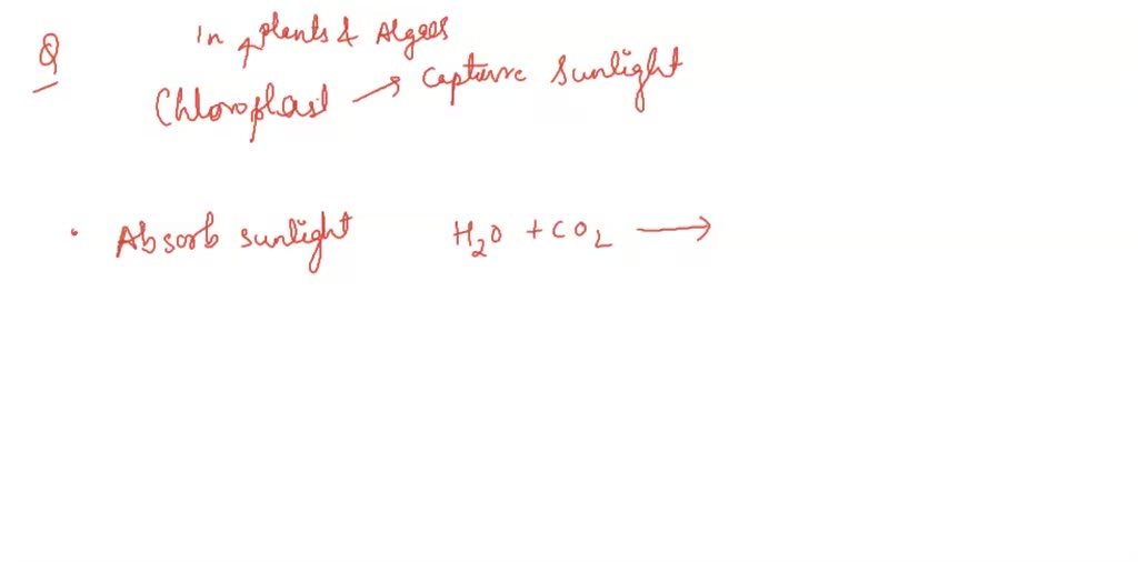 Which organelle captures energy from sunlight? a. mitochondrion b. cell