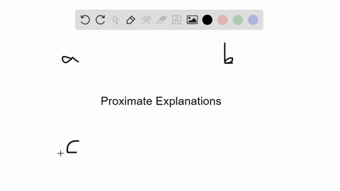 what-do-proximate-explanations-of-behavior-focus-on-a-how-displays-and-other-types-of-behavior-hav-2