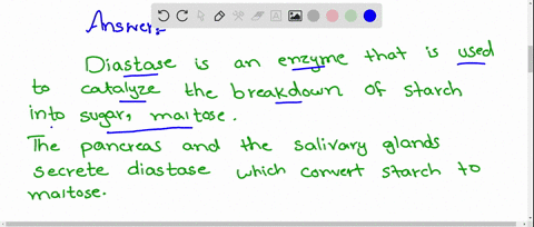 which-of-the-following-enzyme-converts-starch-into-maltose-main-online-april-9-2013-a-diastase-b-mal