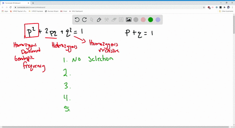 list-the-five-conditions-that-must-be-true-for-a-population-to-be-in-hardy-weinberg-equilibrium-why-