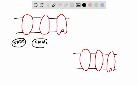 SOLVED:What is an advantage and a disadvantage of a spiral-wound ...