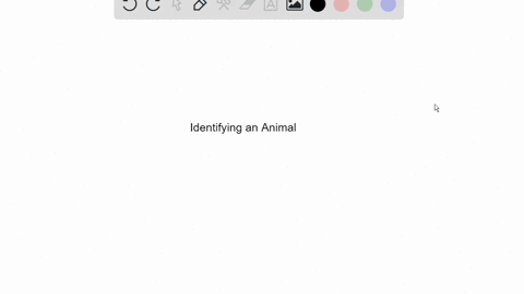 an-animal-you-found-on-the-forest-soil-has-two-body-sections-no-antennae-and-large-pincers-as-the-se