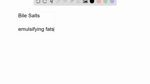 what-is-the-function-of-bile-salts-in-the-digestion-of-fats-3