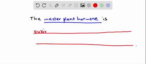 which-of-the-plant-hormones-is-known-as-the-master-plant-hormone-and-why-a-cytokinin-because-many-pl