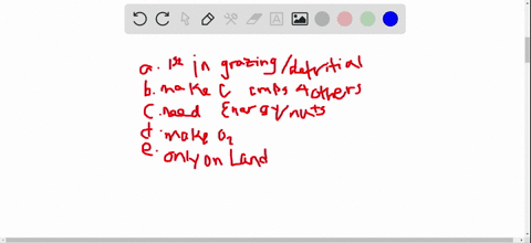 in-what-way-are-decomposers-like-producers-a-either-may-be-the-first-member-of-a-grazing-or-a-detr-2