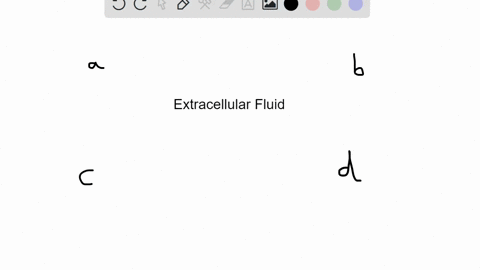 the-major-cation-in-extracellular-fluid-is-________-a-sodium-b-potassium-c-chloride-d-bicarbonate