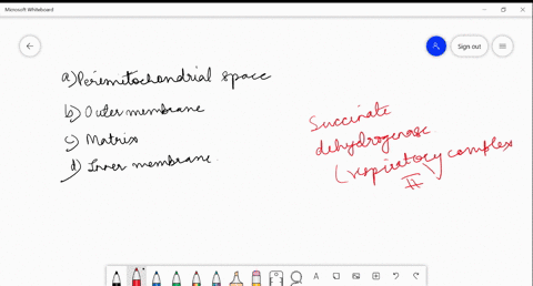 in-which-of-the-following-part-of-mitochondria-mathrmse-dehydrogenase-enzyme-is-located-a-perimitoch