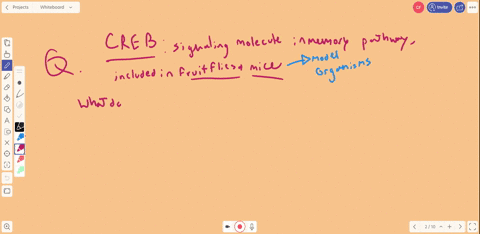 the-nematodes-caenorhabditis-elegans-and-caenorhabditis-briggsae-are-both-hermaphroditic-phylogeneti