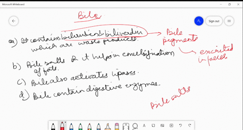 which-of-the-following-is-incorrect-about-bile-a-it-contains-bilirubin-and-biliverdin-which-are-wast