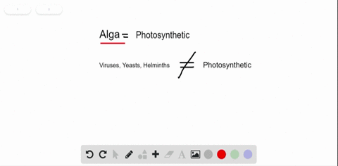 which-of-the-following-types-of-microorganisms-is-photosynthetic-a-yeast-b-virus-c-helminth-d-alga