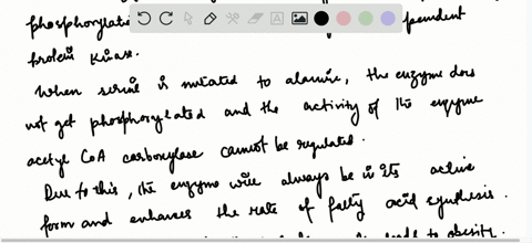 an-unaccepting-mutant-the-serine-residues-in-acetyl-coa-carboxylase-that-are-the-target-of-the-amp-a