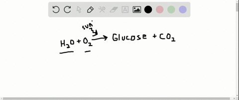 what-two-products-result-from-photosynthesis-a-water-and-carbon-dioxide-b-water-and-oxygen-c-glucose