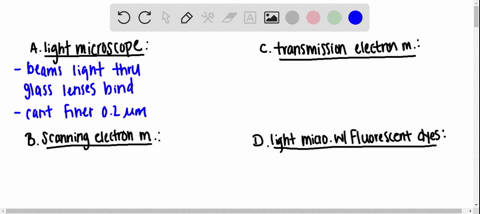 the-ultrastructure-of-a-chloroplast-is-best-studied-using-a-a-light-microscope-b-scanning-electron-m