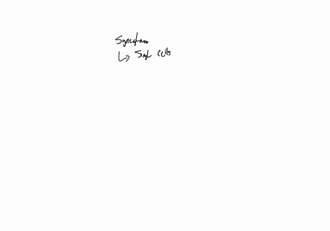 why-is-the-early-drosopbila-embryo-a-syncytium