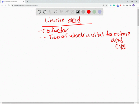lipoic-acid-is-a-growth-factor-for-many-bacteria-and-protozoa-and-an-essential-component-of-severa-3