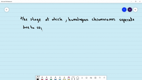at-which-stage-the-homologous-chromosomes-separate-due-to-repulsion-but-are-yet-held-by-chiasmata-a-