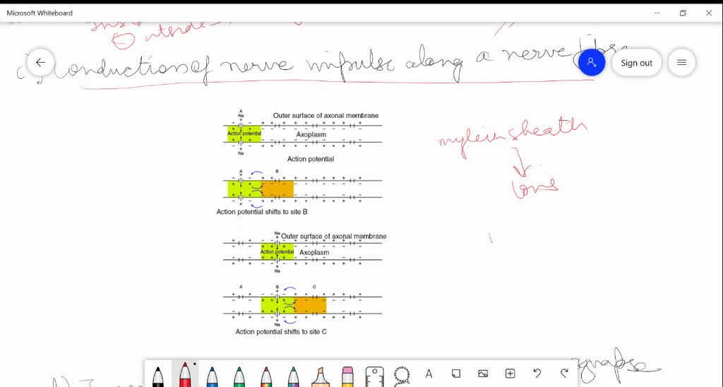 solved-explain-the-following-processes-a-polarisation-of-the